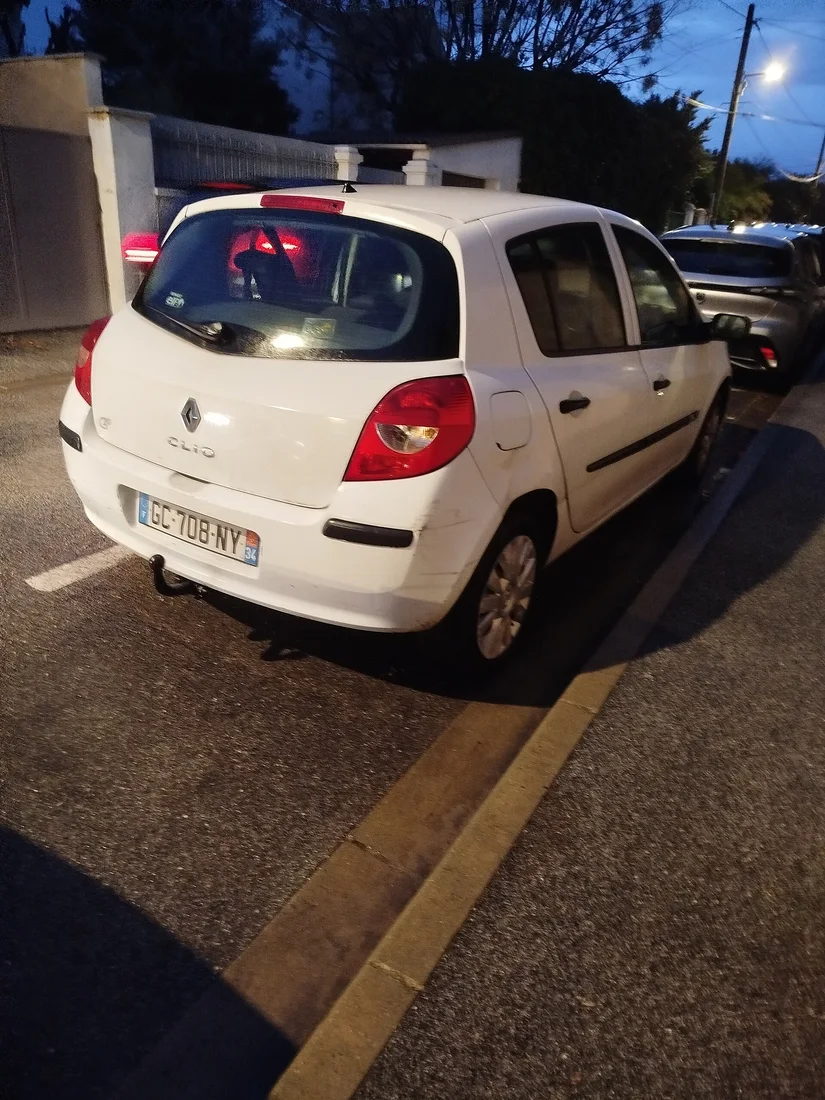 Renault Clio 3 Alım Rehberi görünüm 1