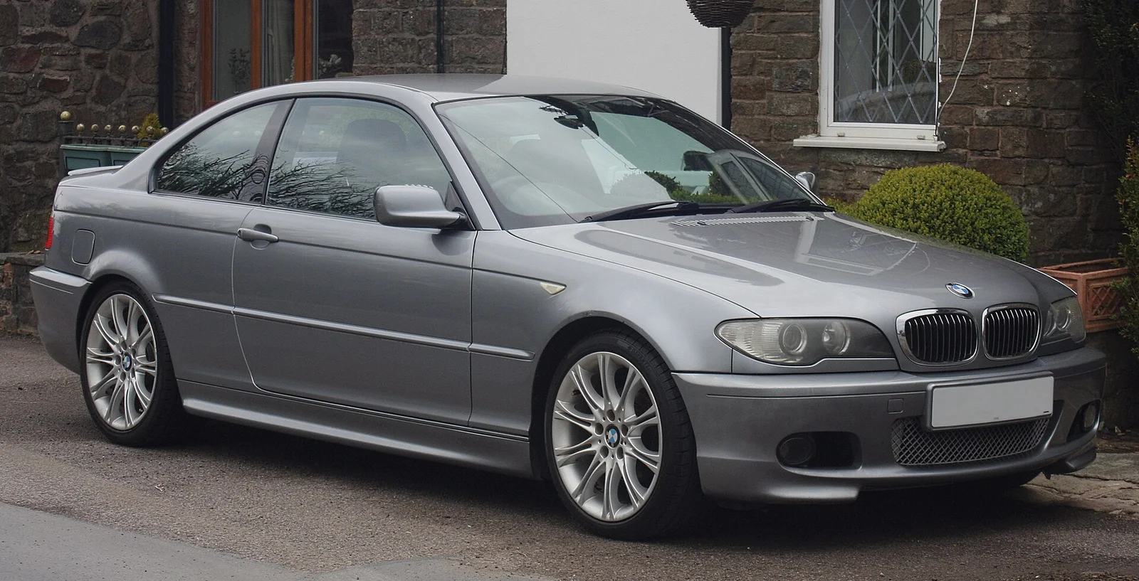 BMW E46 Alım Rehberi görünüm 1