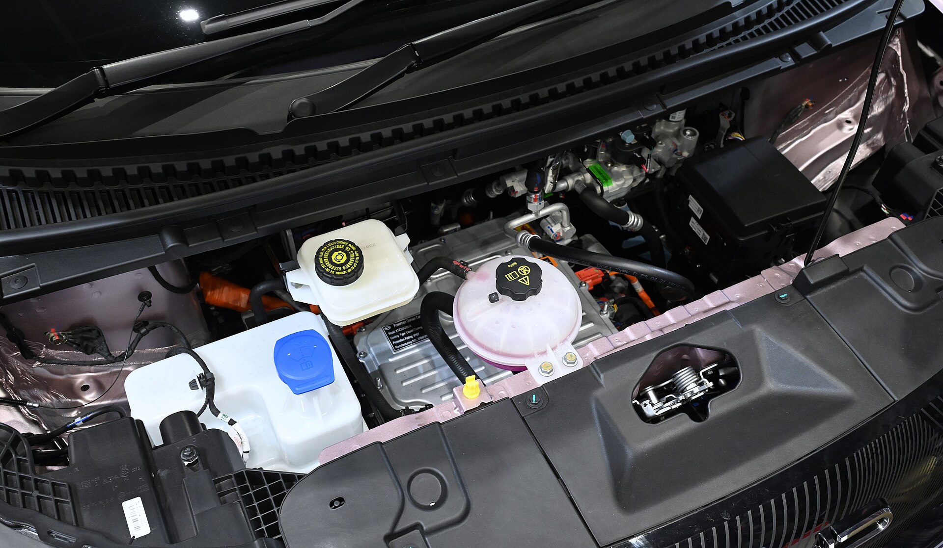BYD Dolphin elektrik motoru