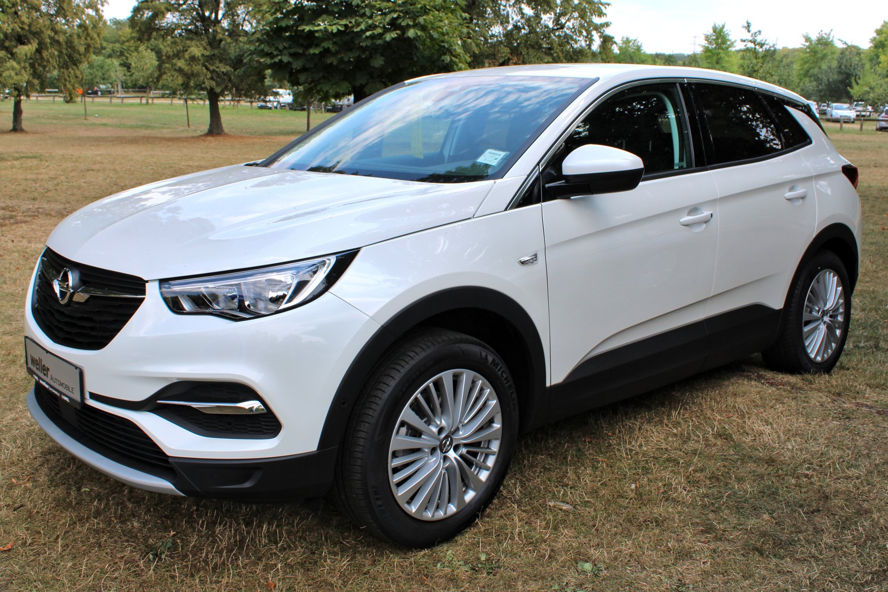 Opel Grandland X arka görünüm