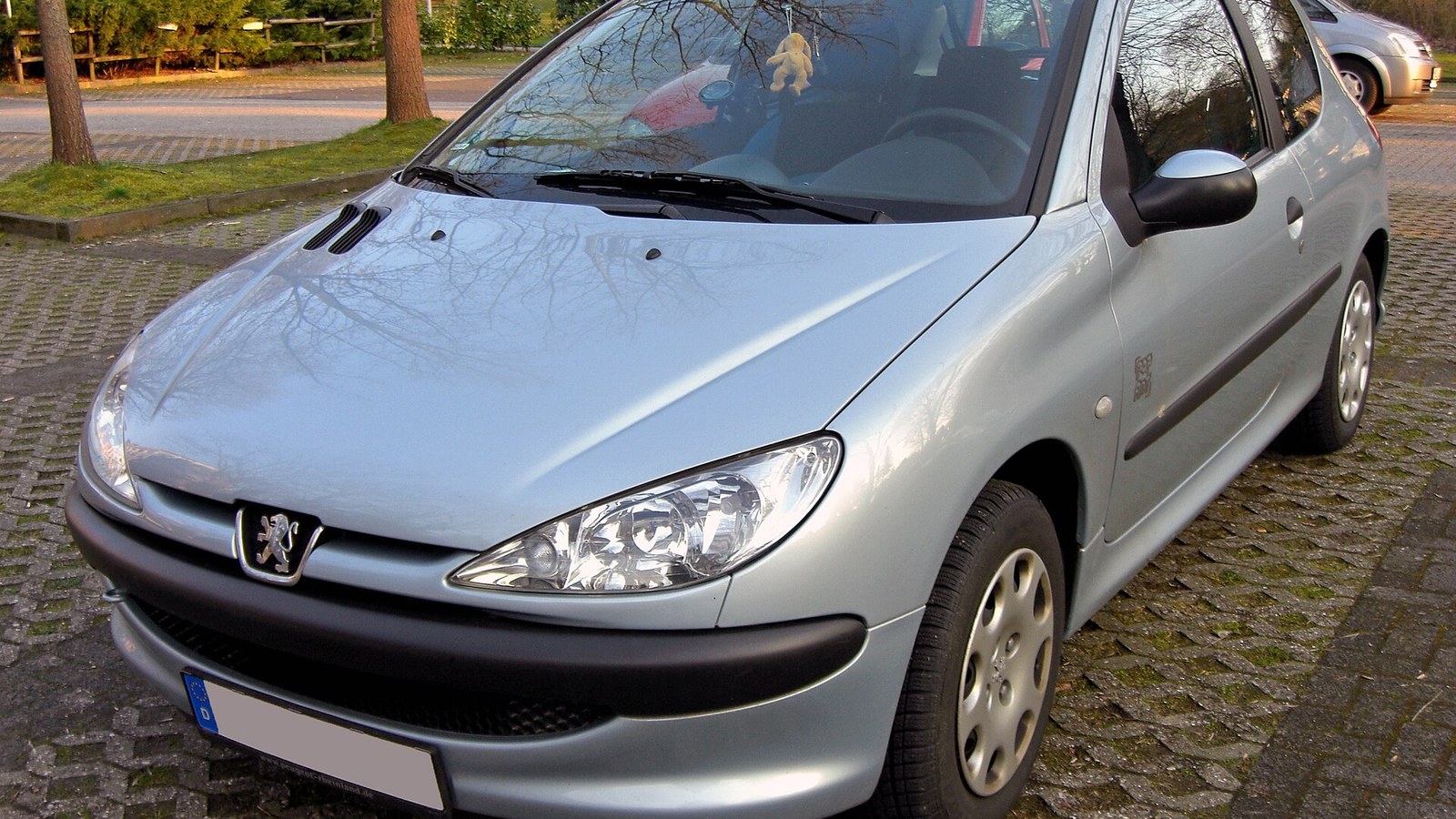 Gümüş Peugeot 206 önden görünüm